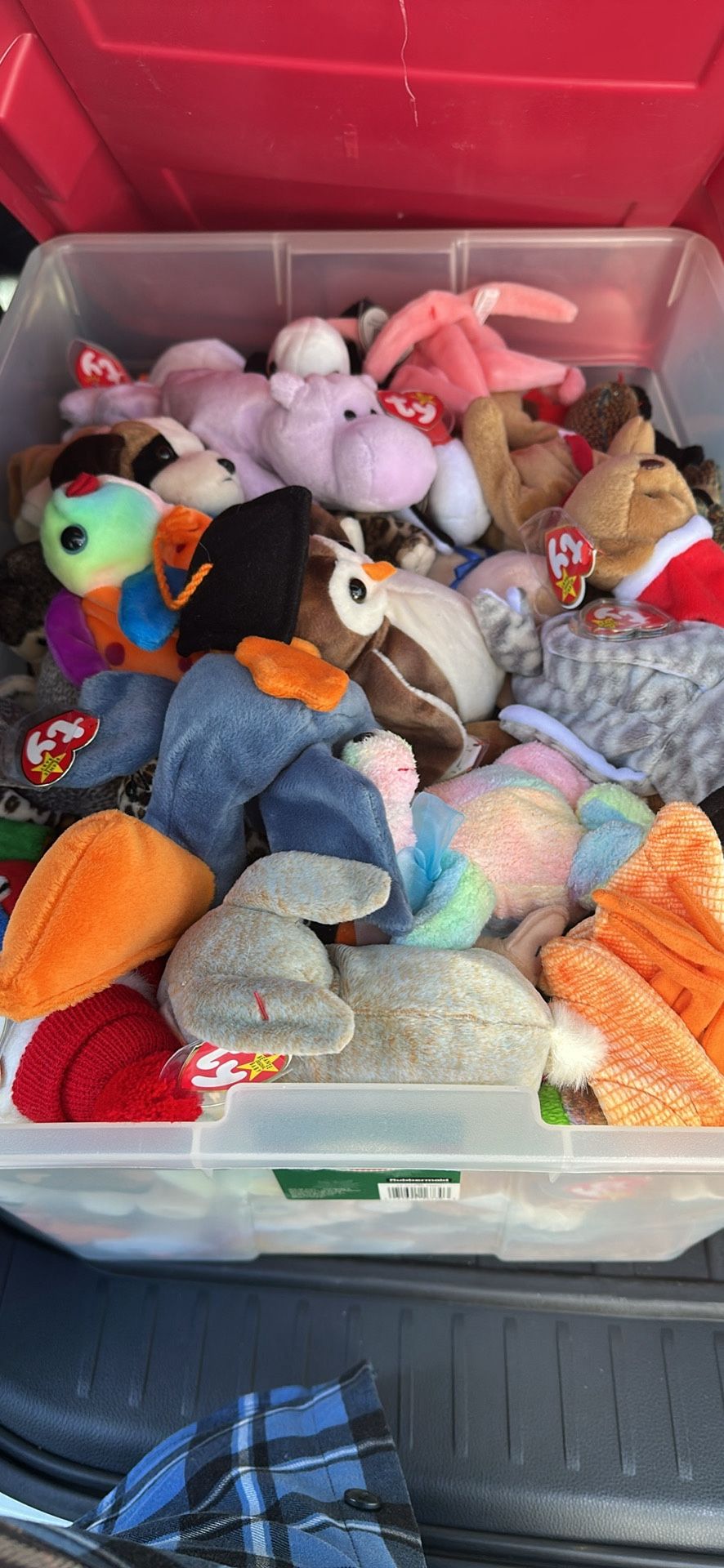 Beanie Babies For Sale All