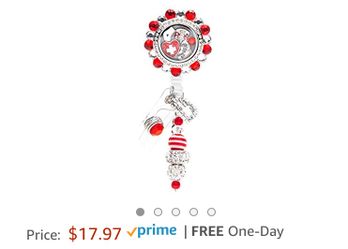 Nurse badge reel and holder