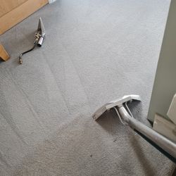 🫧CARPET C.L.E.A.N.I.N.G