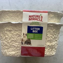 Areneros Para Mascotas