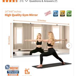 LuxHomez 46 in. W x 72 in. H Rectangular Frameless Tempered HD Wall Mirror/Gym Mirror/Dance Mirror