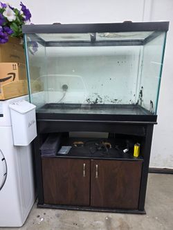 65g fish tank and stand !