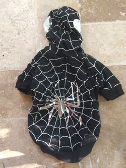Small dog spider web cosume