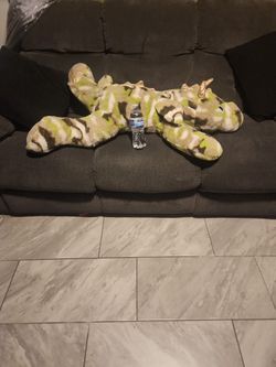 XL Baby Dinosaur Light / Dark Green/Gold Great To Cuddle Pet / Smoke Free Household.