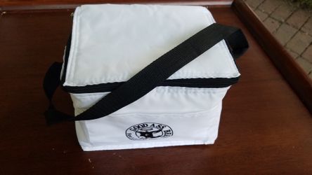 Small lunch bag/cooler