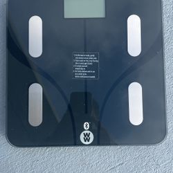 Scales By Contain