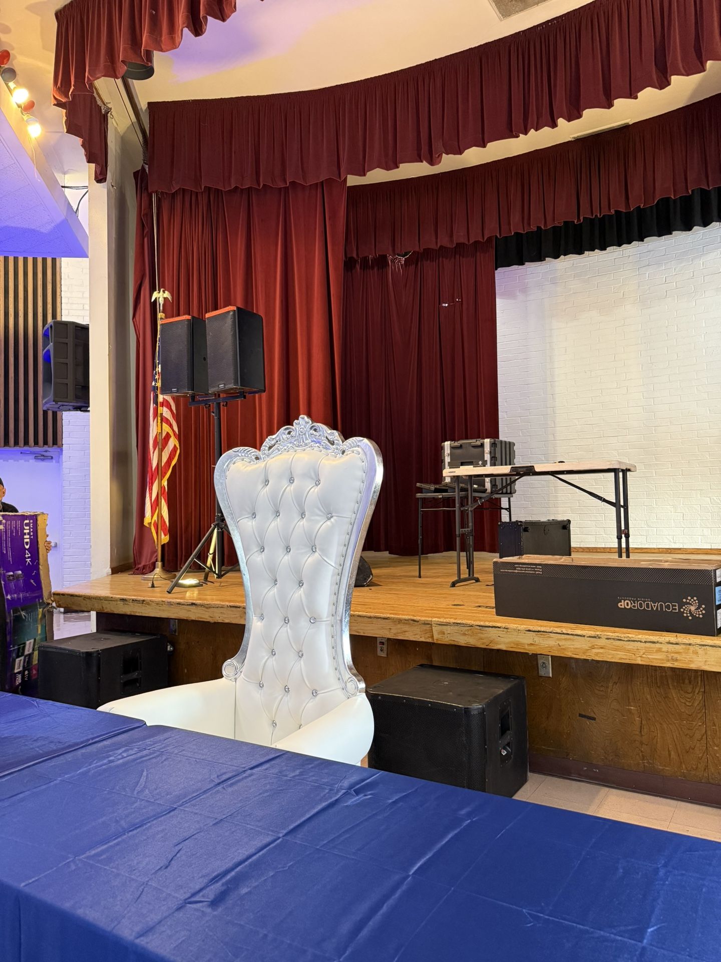 Silver Fancy Throne Chair