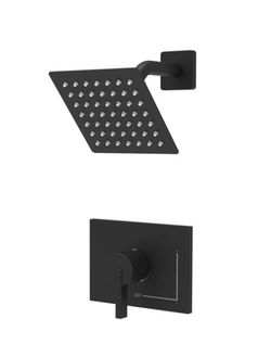 Shower Head (Retail $69.99)