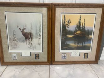 Wildlife pictures