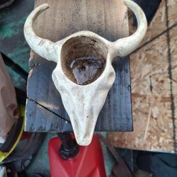 Bull Head Planting Pot