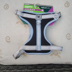 Harness for dogs