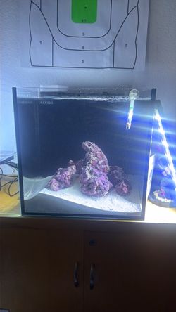 15 gallon innovative marine