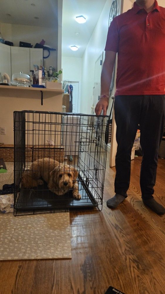 Medium - Large Dog Kennel