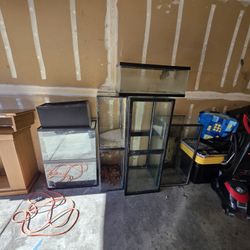 A Handful Of Aquariums