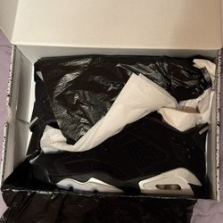 Jordan Retro 6