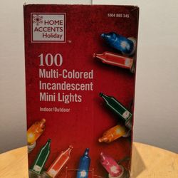 Home Accents Holiday 100 Multi-colored Incandescent Mini Lights