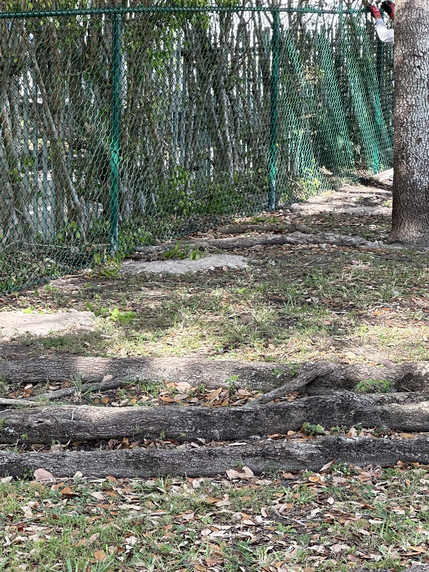 Fence