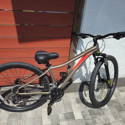 Cannondale Tango Size Small 