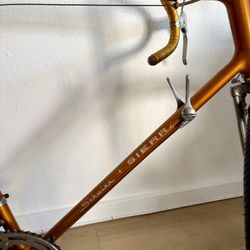 1965 Schwinn Sierra