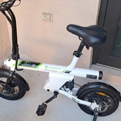 Isinwheel Electric Bike