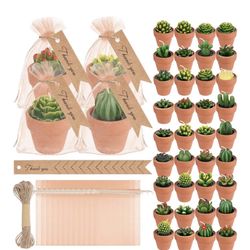 Succulent Tea light Candles - Terracota Pot