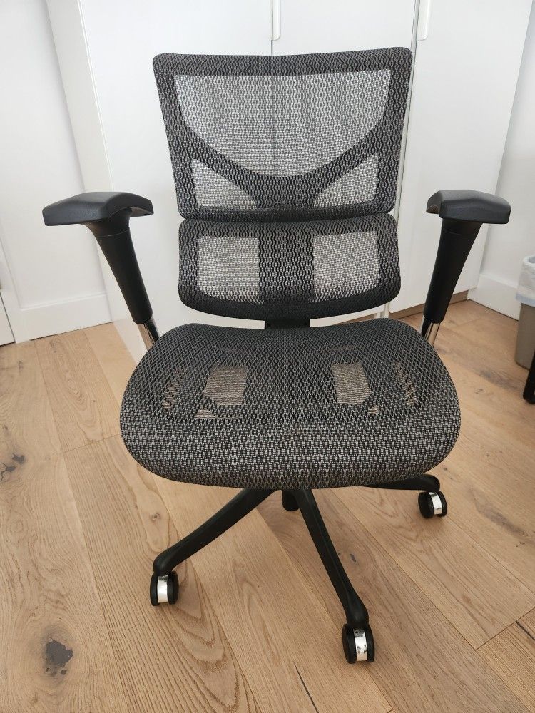 X-Chair X1 Flex Mesh Task Chair