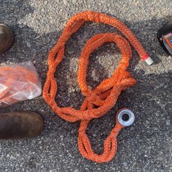 Tree Rigging