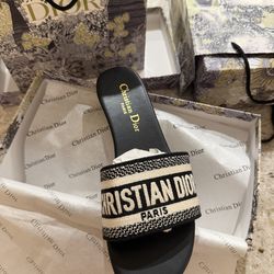 Dior Dway slides