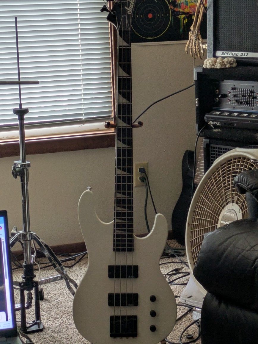 Jackson Bass