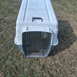 Dog Kennel
