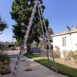 Step Ladder 