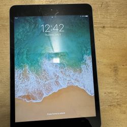iPad Mini 2  16gb Excellent Condition