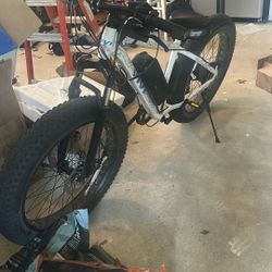 Electric Bike 