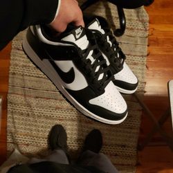 Size 12 Sneaker Collection