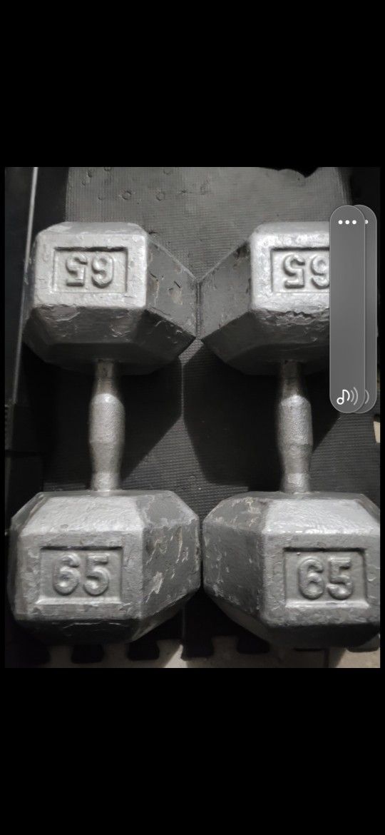 65lbs Dumbells Weights
