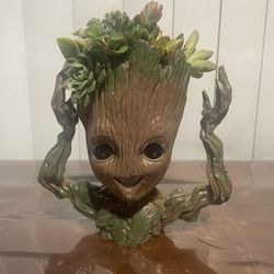 Marvel groot