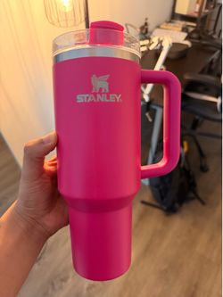 Stanley Mug