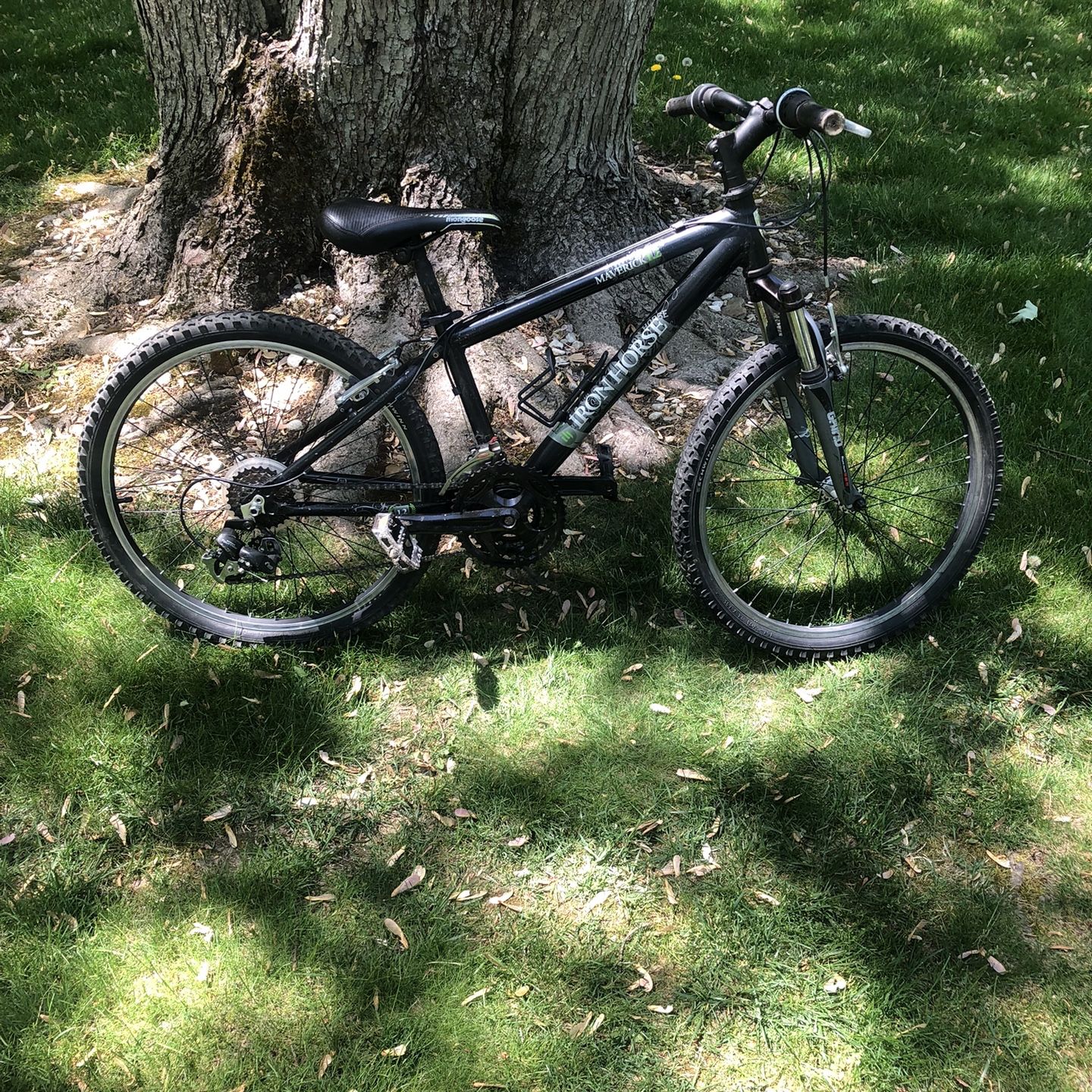 24” Mountain Bike for Sale in Northfield, OH - OfferUp