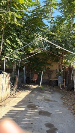 Canopy 10x20