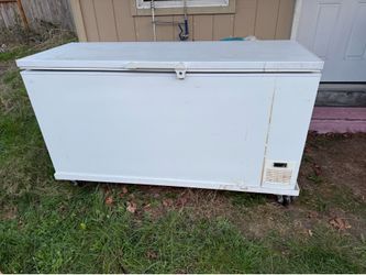 Chest Freezer Ice Cream “Broken” Meat Storage (Free)