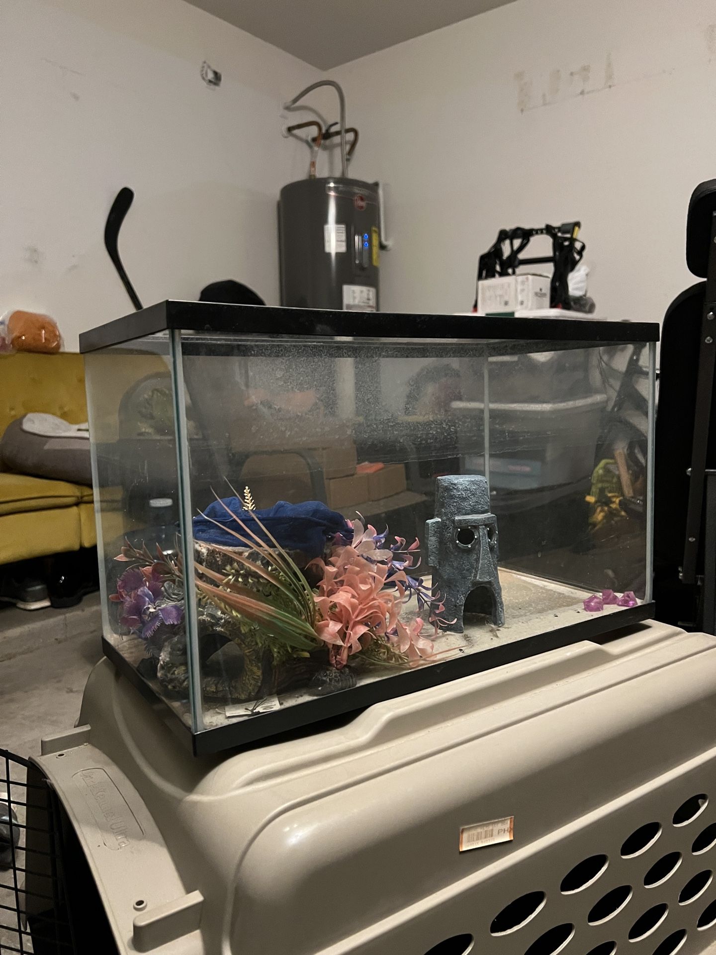 Fish Tank Aquarium