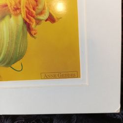 Ann Geddes   2 pc