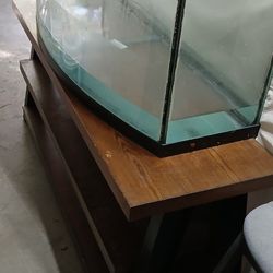 Bowfront 55 Gallon Fish Tank