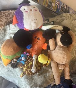 Pet toys