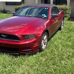 2014 Ford Mustang - NEED GONE ASAP!