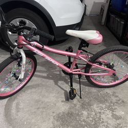 Highland 20” Kids Mountain Bike