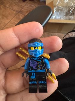 Skybound Jay (njo210