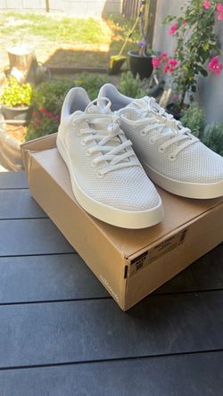 allbirds