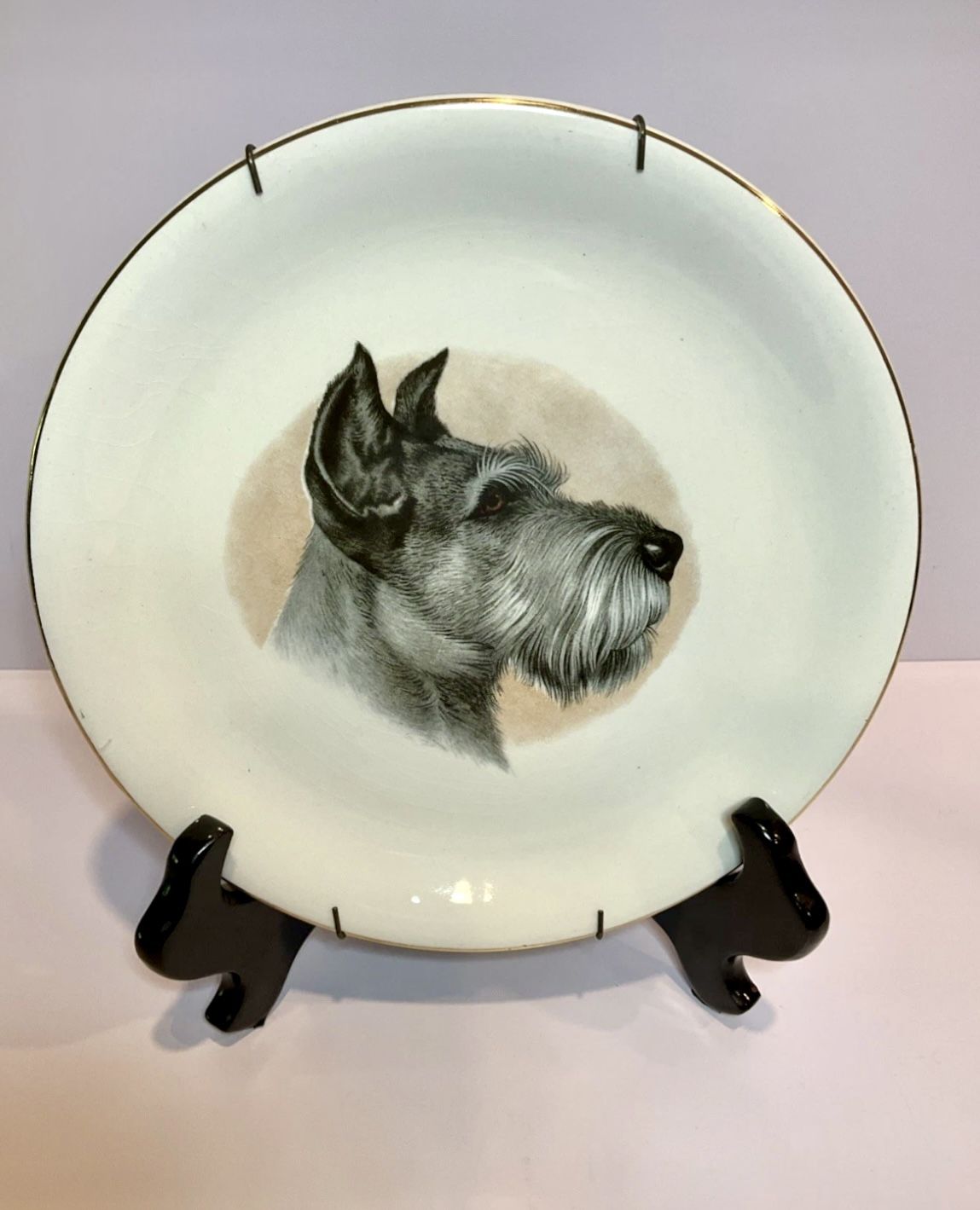 Vintage Late 40's Wood & Sons English Ironstone Plate Schnauzer Dog 7.75”