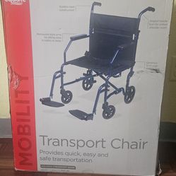 Equate wheelchair (transport chair)